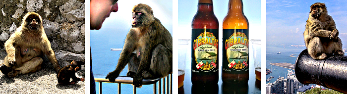 Gibraltar3